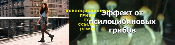дурь Медвежьегорск