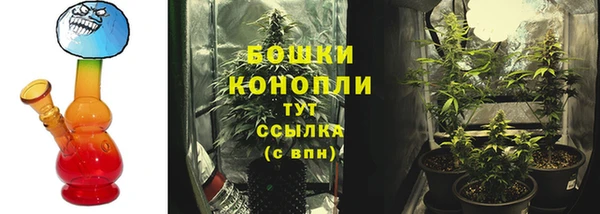 дурь Медвежьегорск